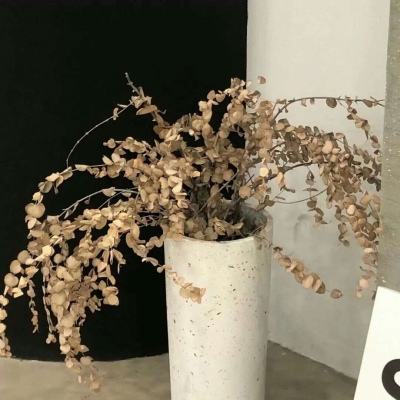 Furry绘画光影解析福瑞群